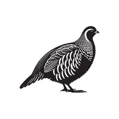 Grey Partridge Vector Silhouette, Detailed Ground Bird Design, Nature-Inspired Wildlife Art, Elegant Avian Outline, Rustic Bird Illustration.
