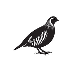 Grey Partridge Vector Silhouette, Detailed Ground Bird Design, Nature-Inspired Wildlife Art, Elegant Avian Outline, Rustic Bird Illustration.
