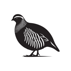 Grey Partridge Vector Silhouette, Detailed Ground Bird Design, Nature-Inspired Wildlife Art, Elegant Avian Outline, Rustic Bird Illustration.
