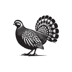 Grey Partridge Vector Silhouette, Detailed Ground Bird Design, Nature-Inspired Wildlife Art, Elegant Avian Outline, Rustic Bird Illustration.
