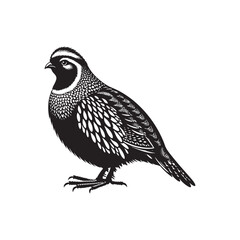 Grey Partridge Vector Silhouette, Detailed Ground Bird Design, Nature-Inspired Wildlife Art, Elegant Avian Outline, Rustic Bird Illustration.
