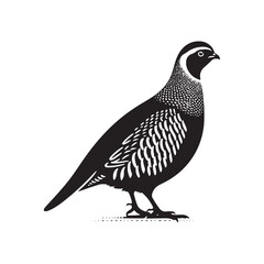 Grey Partridge Vector Silhouette, Detailed Ground Bird Design, Nature-Inspired Wildlife Art, Elegant Avian Outline, Rustic Bird Illustration.
