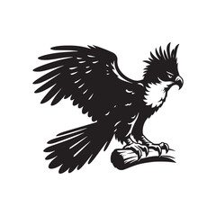 Harpy Eagle Vector Silhouette, Majestic Bird of Prey, Detailed Avian Design, Powerful Eagle Outline, Nature-Inspired Wildlife Art Illustration.
