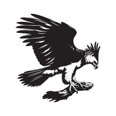 Harpy Eagle Vector Silhouette, Majestic Bird of Prey, Detailed Avian Design, Powerful Eagle Outline, Nature-Inspired Wildlife Art Illustration.
