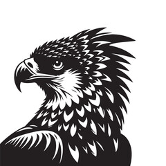 Harpy Eagle Vector Silhouette, Majestic Bird of Prey, Detailed Avian Design, Powerful Eagle Outline, Nature-Inspired Wildlife Art Illustration.
