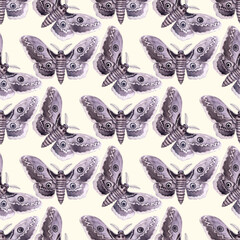 Seamless pattern watercolor grey moth eyes on wings, night butterfly beige background. Peacock eye Insect with ornament hand drawn illustration. Clipart, wrapping, festive design vintage card fabric