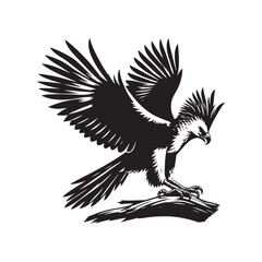 Harpy Eagle Vector Silhouette, Majestic Bird of Prey, Detailed Avian Design, Powerful Eagle Outline, Nature-Inspired Wildlife Art Illustration.
