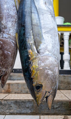 Fresh yellowfin tuna for sale on Maupiti island, French Polynesia