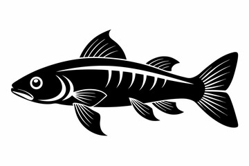 killifish sihouette black vector