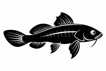 killifish sihouette black vector