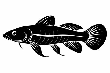 killifish sihouette black vector
