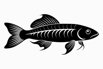 killifish sihouette black vector