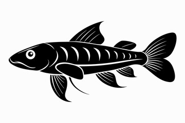 killifish sihouette black vector