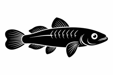 killifish sihouette black vector