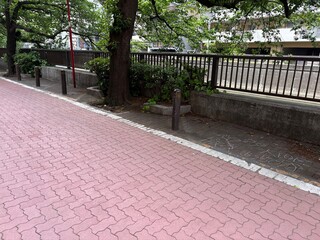 蒲田の吞川の景色