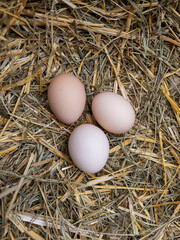 Three eggs are laying on a pile of hay