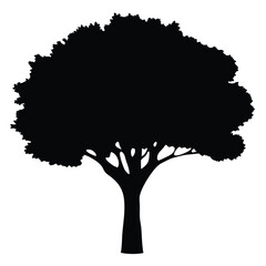 teak tree vector silhouette icon, black and white illustration of trees.
