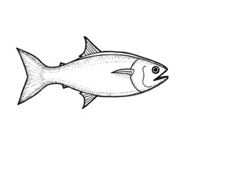 Fototapeta premium Tuna Fish Line Drawing in Style