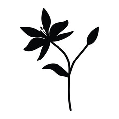 Black and white illustration of toad lily , flower silhouette vector designs.