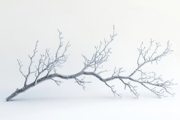 Obraz premium Frost-covered branch isolated on white background, winter scene, minimalist aesthetic.