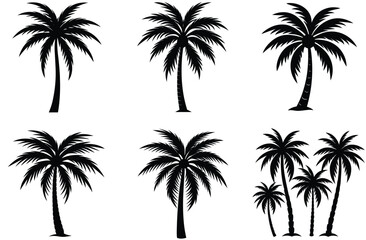 Tropical beach sunset with palm tree silhouettes