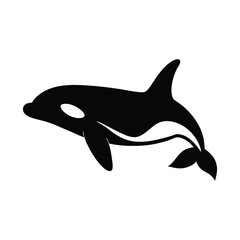 dolphin isolated on white background