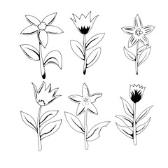 flower bud illustration, for graphic design, background or decoration in design