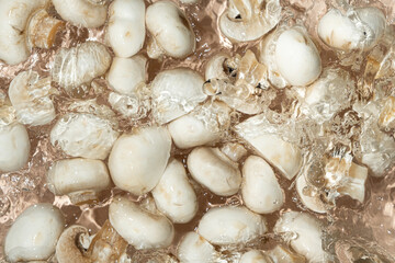 Raw White Mushrooms Champignons Close-Up Splash in a Water Top View