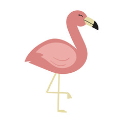 Illustration of a Pink Flamingo