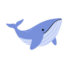 Illustration of a Blue Whale