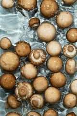 Brown Mushrooms Top View Composition, Champignons in a Water.