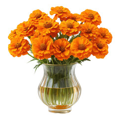 Beautiful orange marigold flowers in a vase floral arrangement bouquet on transparent background