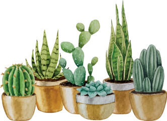 Vector composition of cacti and succulents. Watercolor illustration. White background. For design, backgrounds