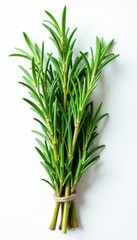 Obraz premium Vibrant green rosemary sprigs, tightly bundled , garnish, herbs, sprig