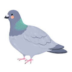 Cute children's book style pigeon