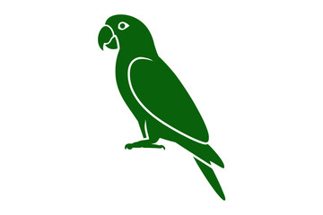 Green parrot illustration tropical bird design art