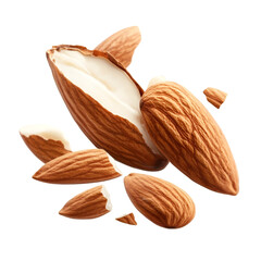 almond isolated on 
 white background
