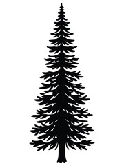 Obraz premium Tall Pine Tree Silhouette Black Evergreen Tree Isolated on White Background for Forest or Holiday Design
