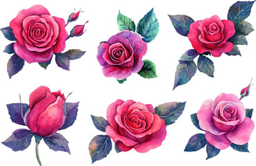 Naklejka premium set of roses isolated on white