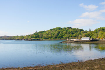 Summer day in Stornoway harbor, Scotland