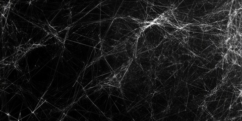 Spooky Web Spiderweb Texture on Black Background with Halloween Concept.