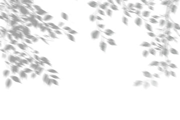 Abstract natural tree leaves silhouette shadows on transparent background png_wind