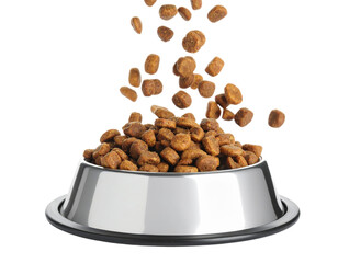 Dog Food in Bowl Isolated on Transparent Background Healthy Pet Nutrition Concept