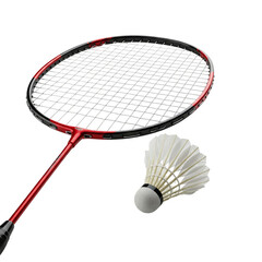 badminton racket and shuttlecock