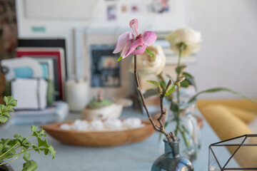 Magnolia flower in a vase on a table