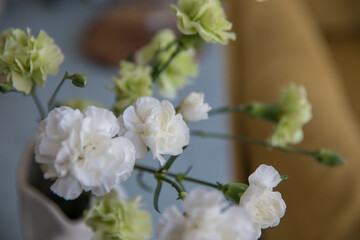 Bouquet of white and green carnations in a vase at home