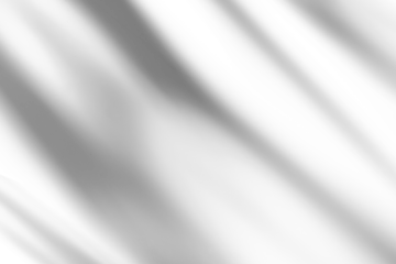 shadow overlay effect of natural tree leaves or window shadow over on white wall background,realistic summer abstract shadow overla