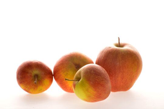 Apfel,  Malus domestica, Rubinette