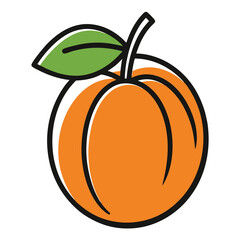 vector illustration of orange fruit