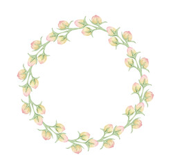 Wreath of simple pink flower buds in watercolor